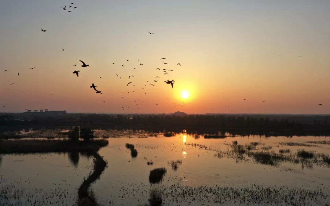 1599272598857444.jpg 20191208163348_89993.jpg