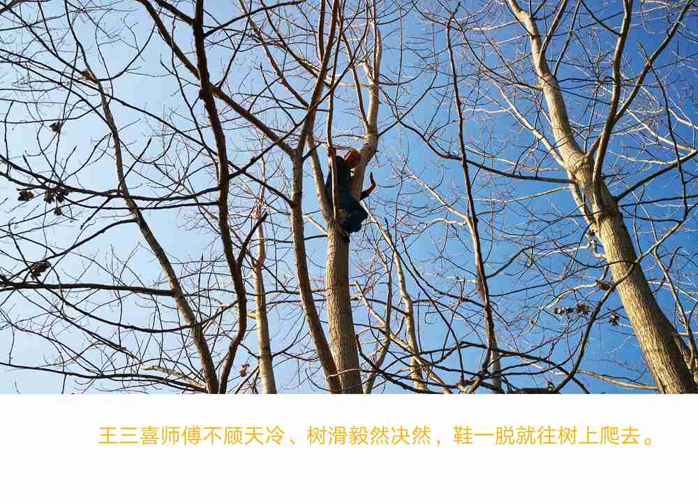 1599272631883516.jpg 20191208164019_46404.jpg