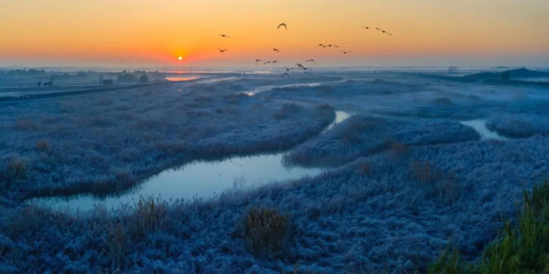 1599272653917620.jpg 20191208163524_11497.jpg