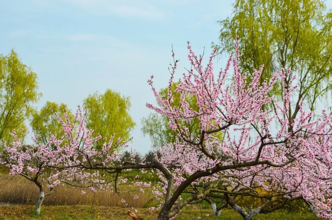 1599277695254166.jpg 640.webp (9).jpg