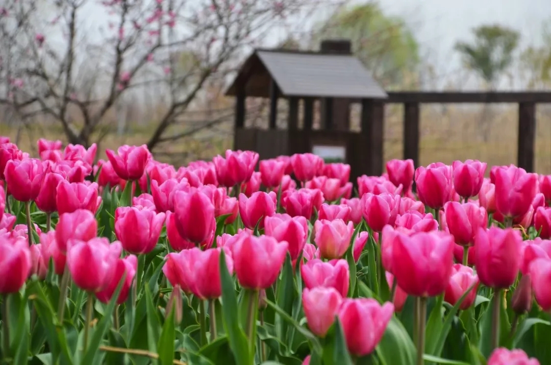 1599277713607415.jpg 640.webp (10).jpg