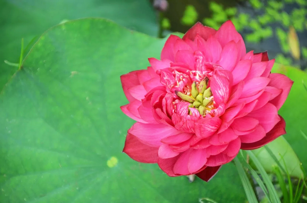 1599379807871560.jpg 20190702152724_50471.jpg