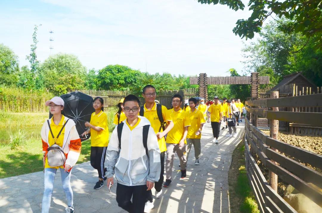 1599551942410002.jpg 4.jpg