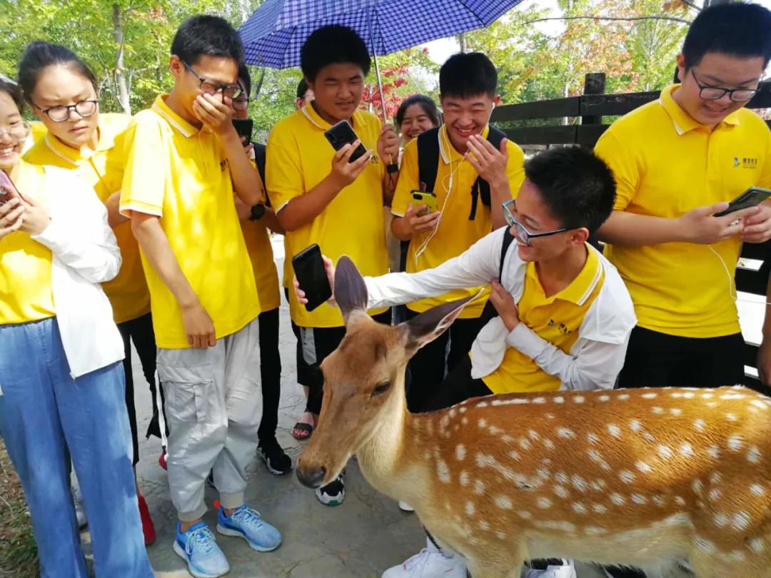 1599551956796689.jpg 5.jpg