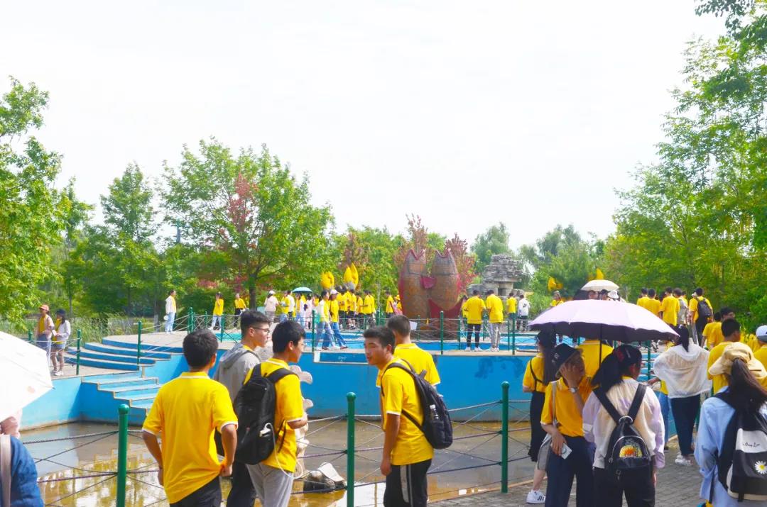 1599551980861495.jpg 77.jpg