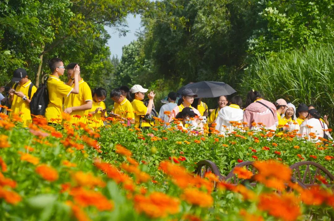 1599552090940682.jpg 4444.jpg