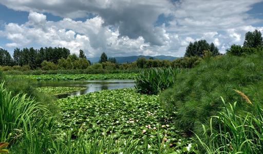 1599559219665768.jpg 557.jpg