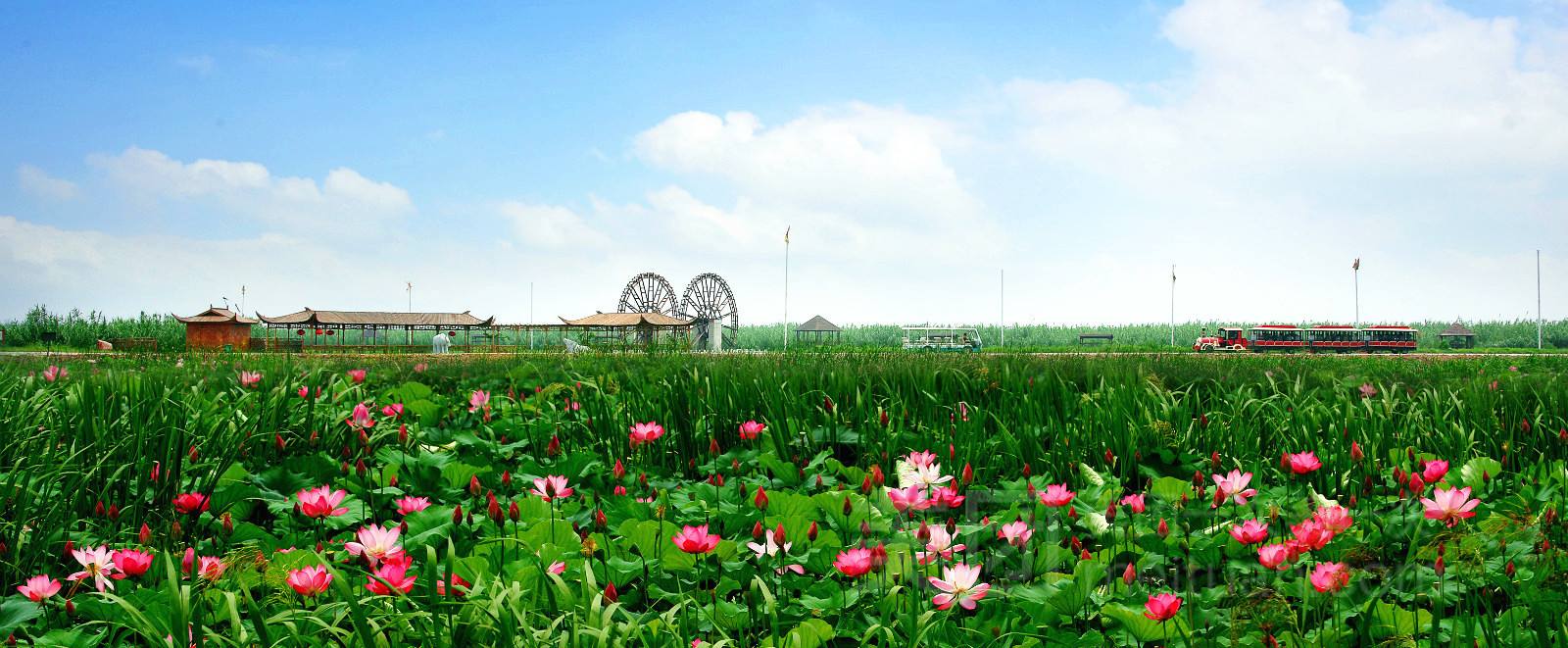 1599620057191053.jpg l.jpg