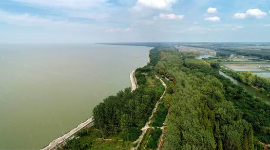 1599620424378369.jpg d.jpg