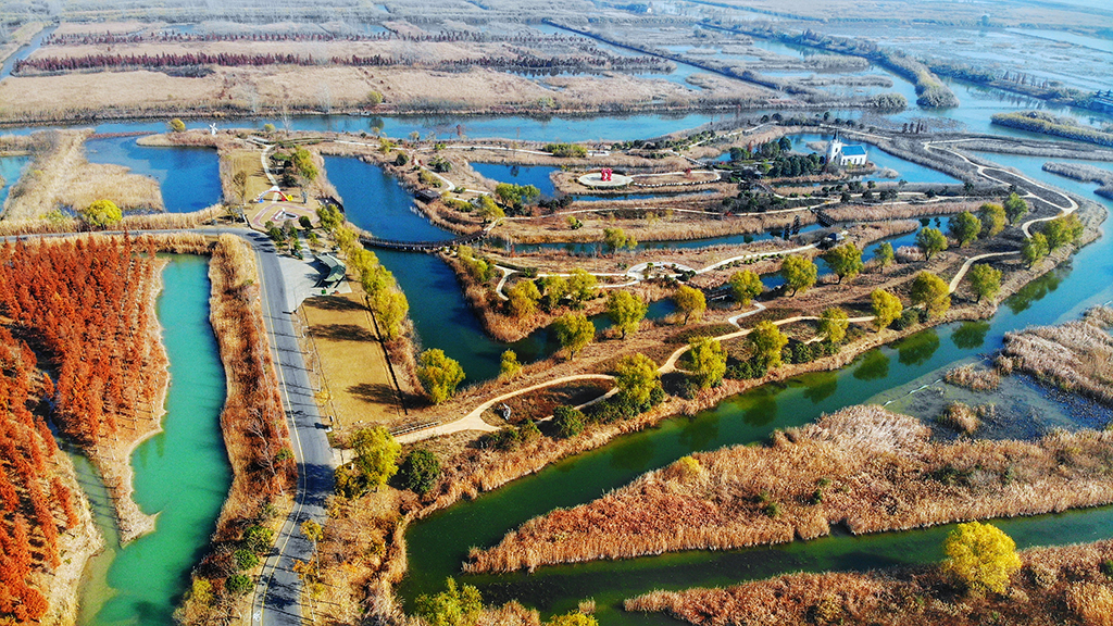 冬韻 (4)朱鵬程.jpeg